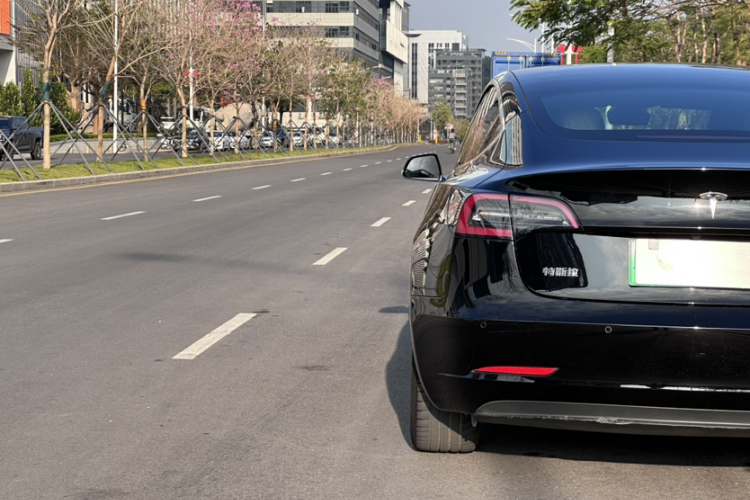 Tesla Model 3 2020 car image #12