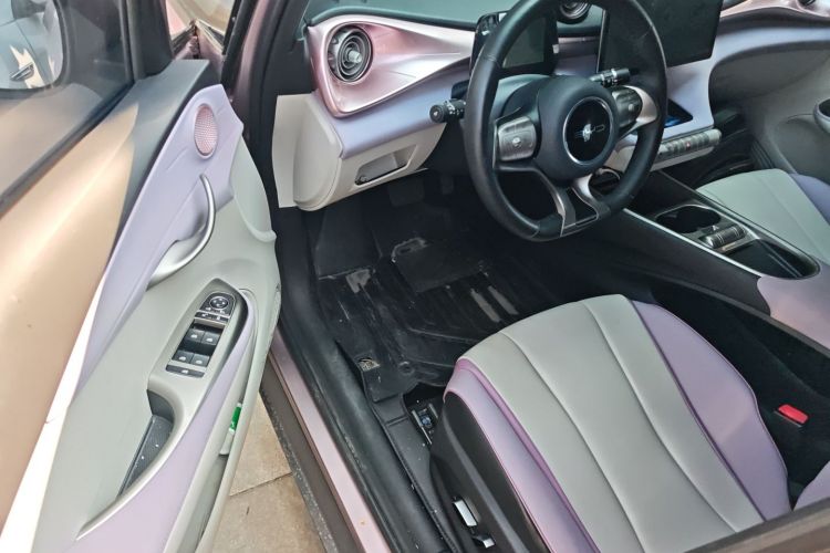 BYD Dolphin 2022 #12 BYD Dolphin 2022 car image #12