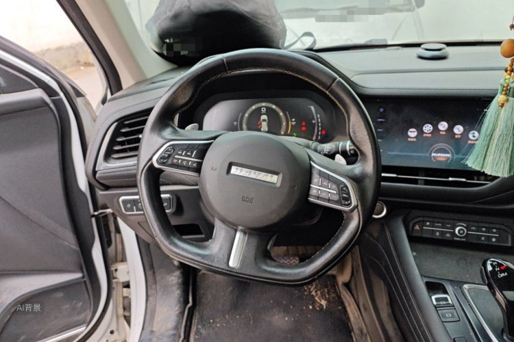 Haval 2019 #12 Haval 2019 car image #12