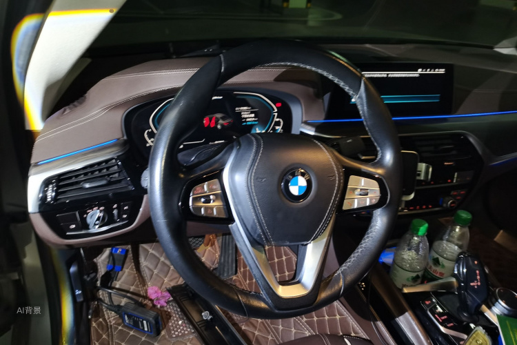 BMW 5 Series New Energy 2020 car image #12