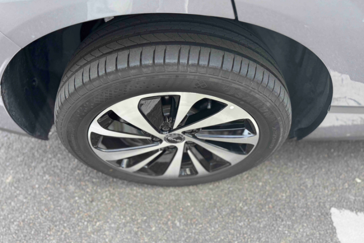 BYD Sea Lion 06 New Energy 2025 car image #12