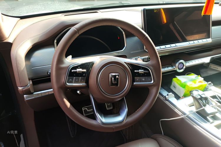 Tank 700 New Energy 2024 #12 Tank 700 New Energy 2024 car image #12