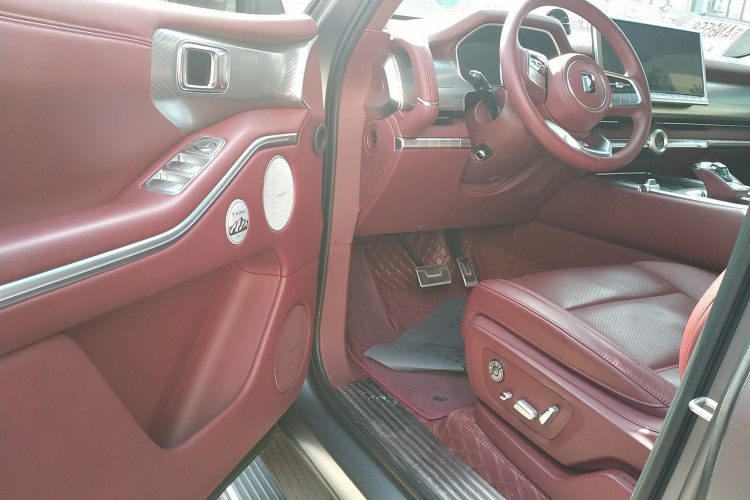 Tank 700 New Energy 2024 car image #12