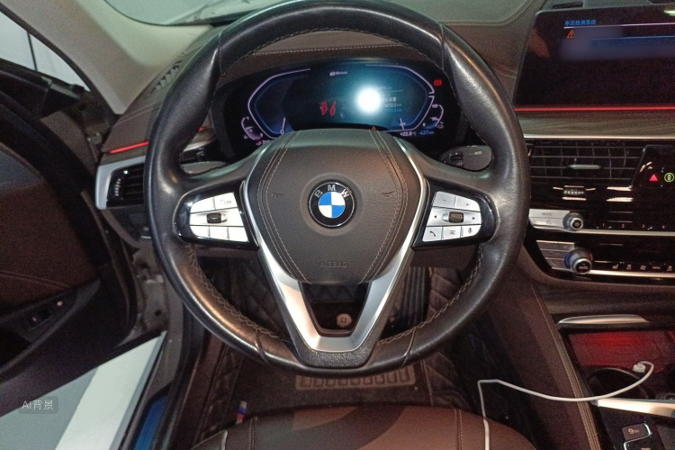 BMW 5 Series New Energy 2020 car image #12