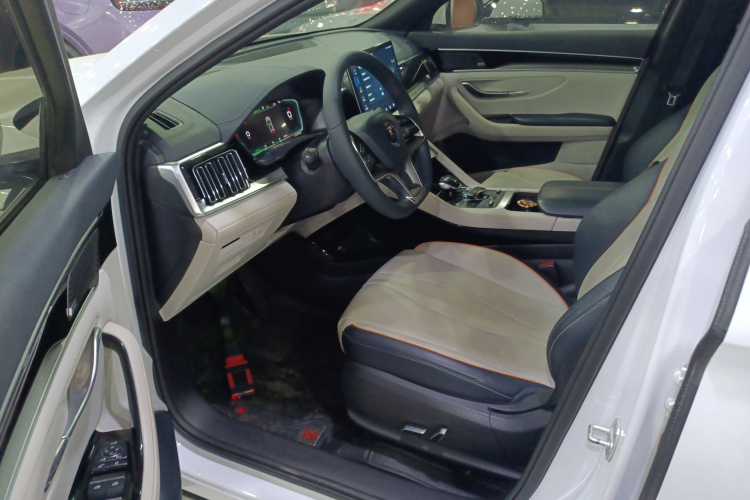 BYD Song Plus New Energy 2021 #12 BYD Song Plus New Energy 2021 car image #12