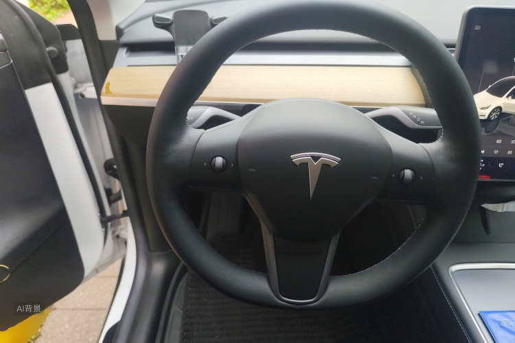 Tesla Model Y 2022 car image #12