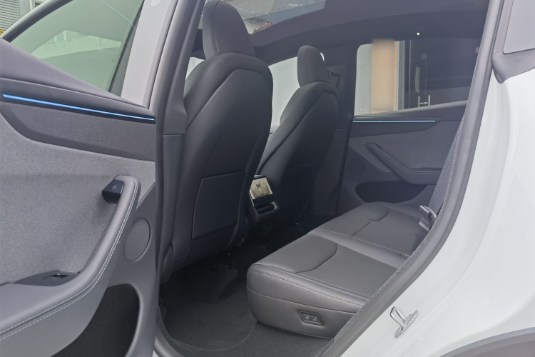 Tesla Model Y car image #12