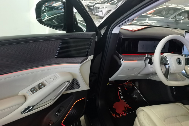 Denza N9 2025 #12 Denza N9 2025 car image #12