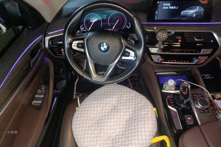 BMW 5 Series 2019 immagine di auto #12