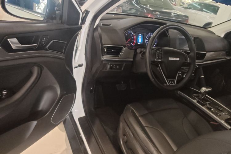 Haval H6 2020 car image #12