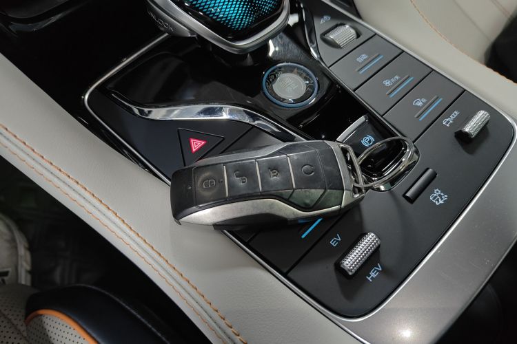 BYD Song Plus New Energy 2021 car image #12