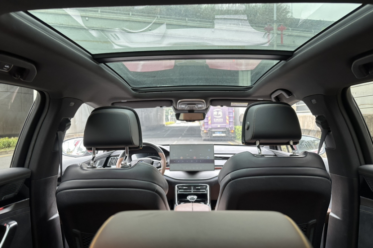 BYD Tang New Energy 2022 car image #12