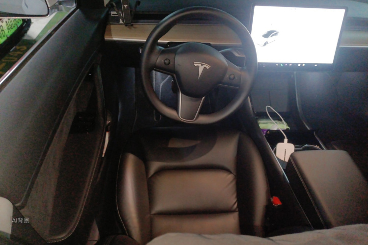 Tesla Model 3 2021 #12 Tesla Model 3 2021 car image #12