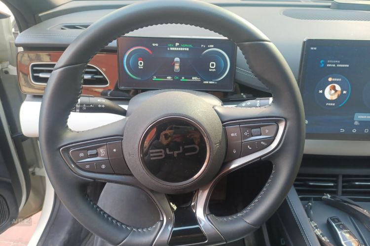 BYD Seal 06 New Energy 2025 car image #12