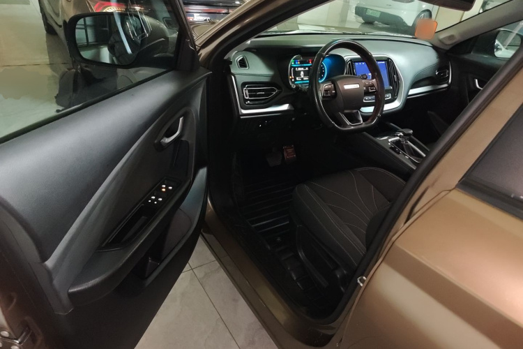 X70M 2020 car image #12