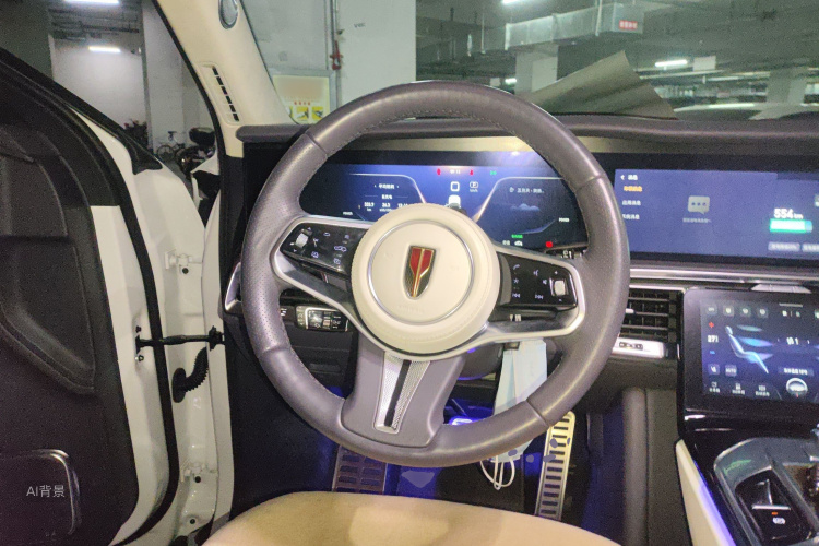 HongQi E-HS9 2022 car image #12