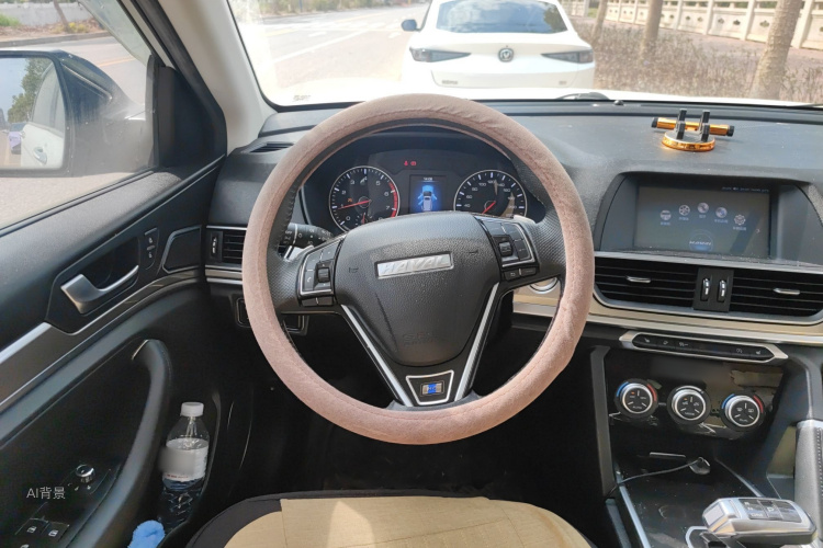 Haval H6 2018 car image #12