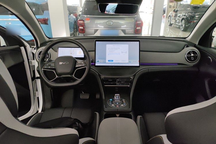 BYD Sea Lion 05 DM-i 2025 car image #12