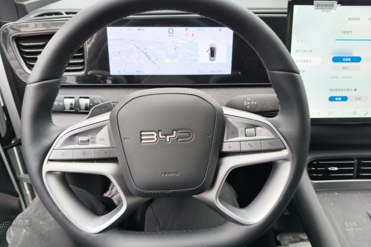 BYD Sea Lion 06 New Energy 2025 car image #12