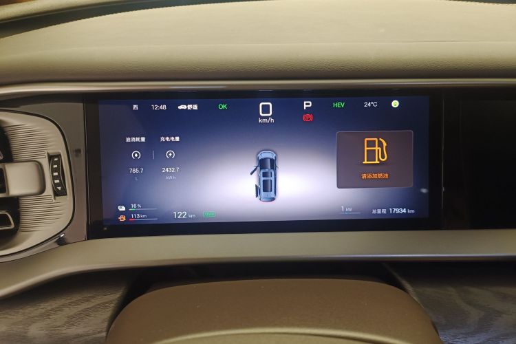 Denza D9 2025 immagine di auto #12