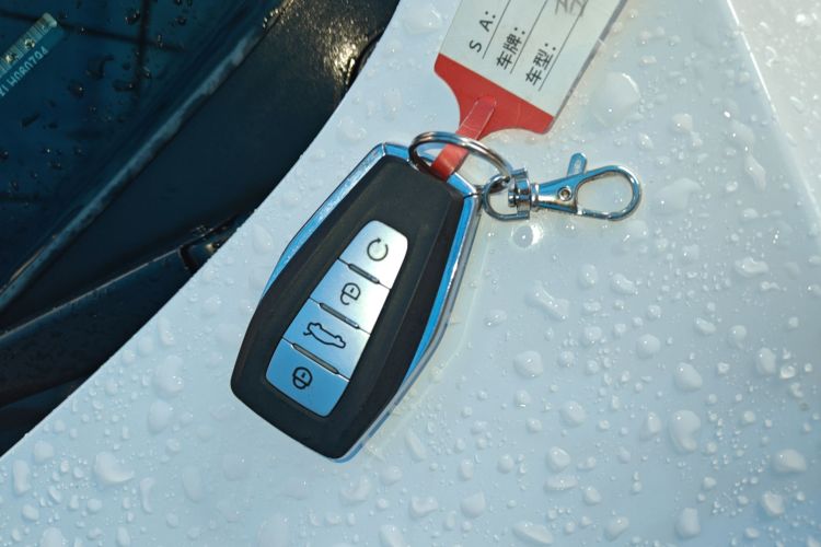 GEELY Emgrand GL 2020 car image #12