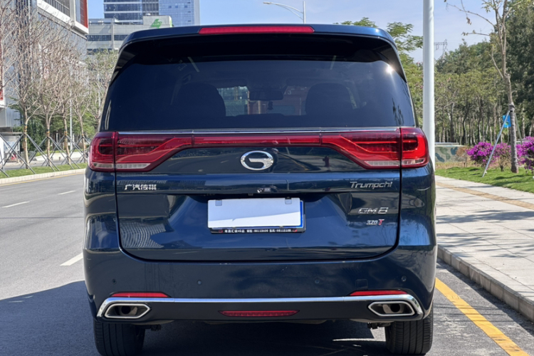 GAC Trumpchi M8 2019 car image #12