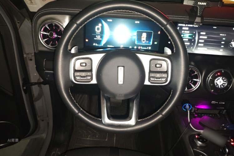 Tank 300 2021 immagine di auto #12