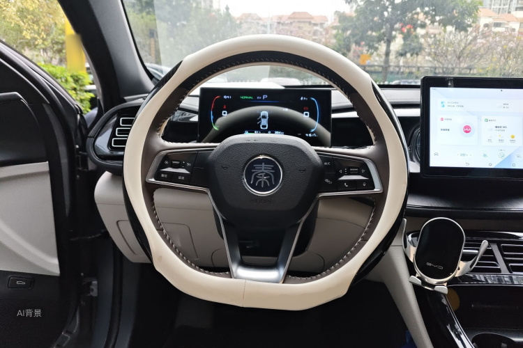 BYD Qin Plus 2024 صورة سيارة #12