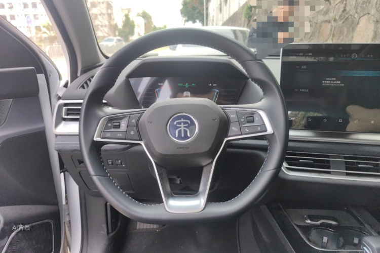 BYD Song Pro New Energy 2020 imagen de coche #12