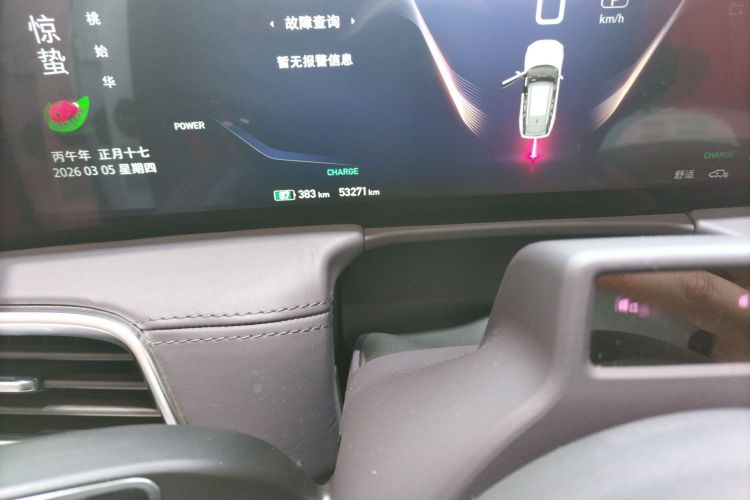 HongQi E-HS9 2021 imagem de carro #12