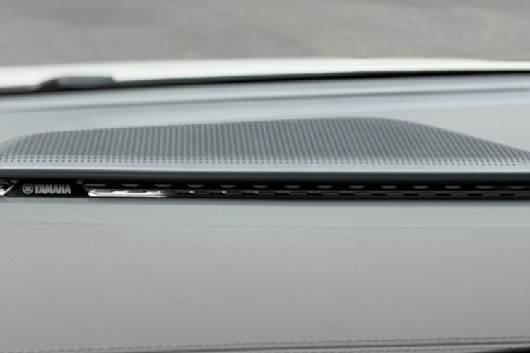 极氪 极氪009 2024 汽车图片 #12