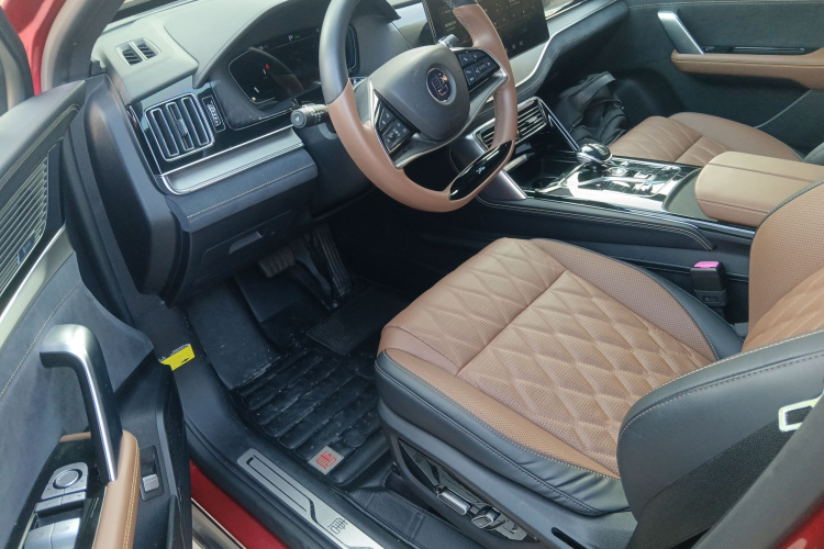 BYD Tang New Energy 2022 car image #12