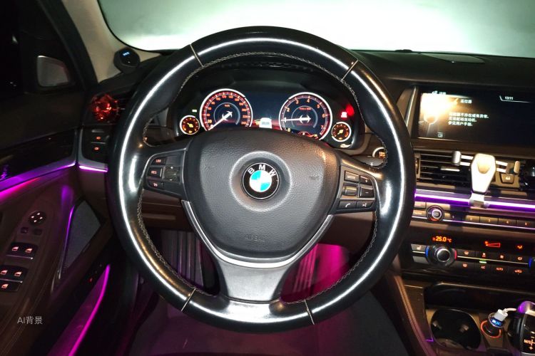 BMW 5 Series 2015 car image #12