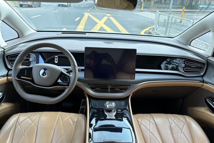 Denza D9 2023 imagem de carro #12