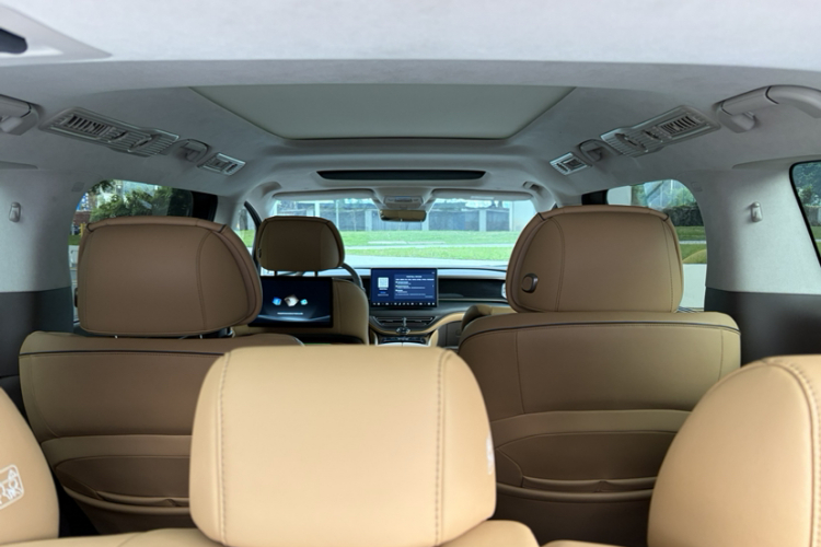 Denza D9 2023 imagen de coche #12