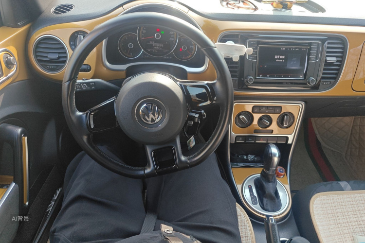 Volkswagen Beetle 2017 immagine di auto #12