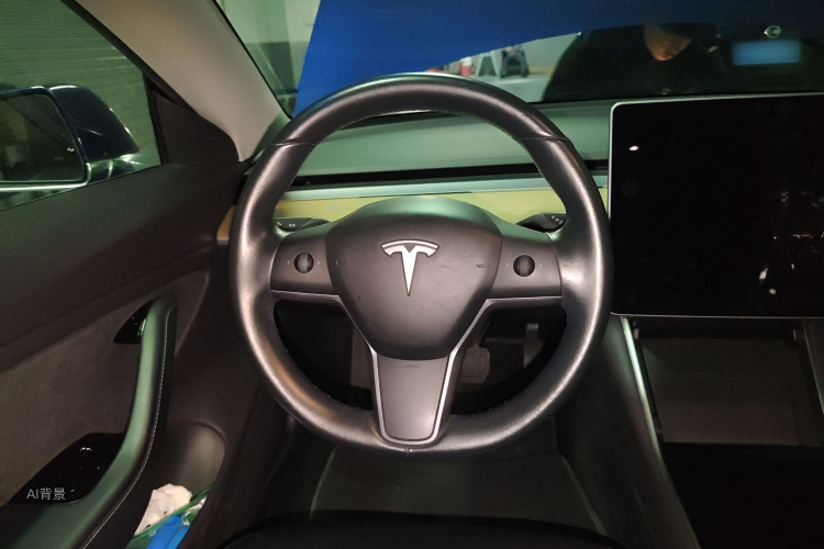 特斯拉 Model 3(进口) 2019 汽车图片 #12