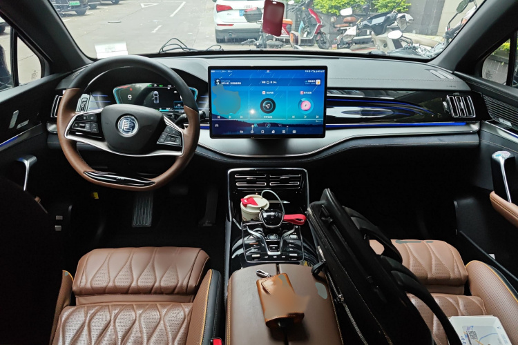 BYD Tang New Energy 2021 car image #12