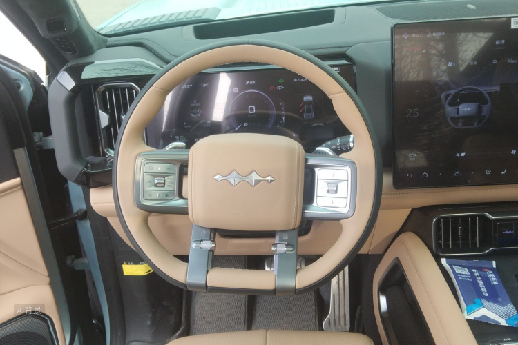 FangChengBao Leopard 8 2024 imagem de carro #12
