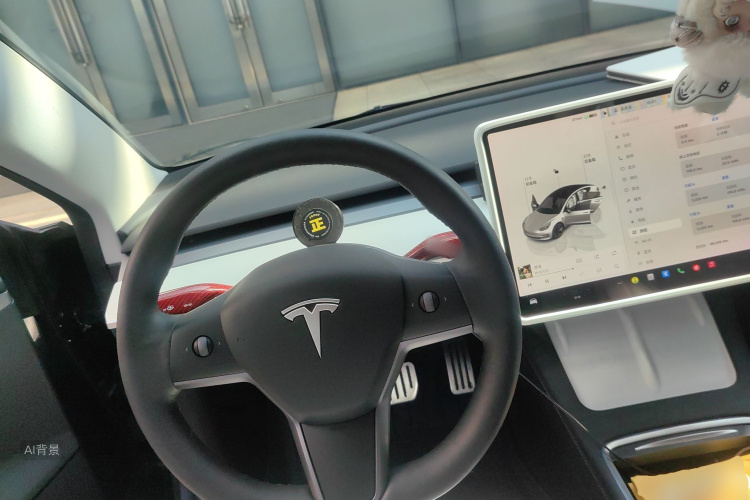 Tesla Model 3 2022 immagine di auto #12