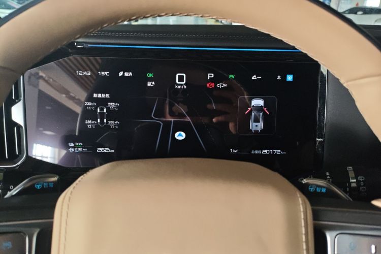 FangChengBao Leopard 8 2024 immagine di auto #12