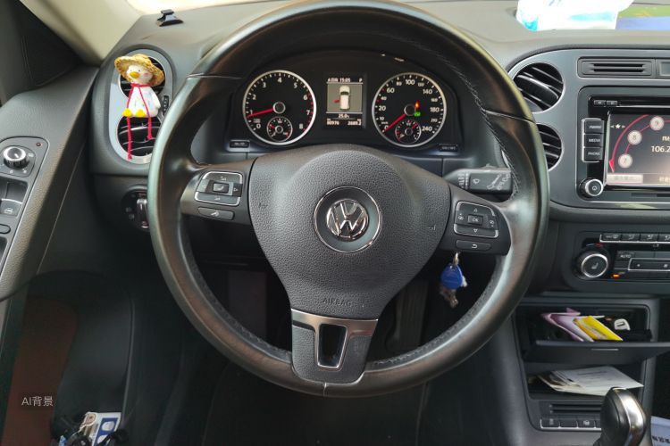 大众 Tiguan 2014 汽车图片 #12