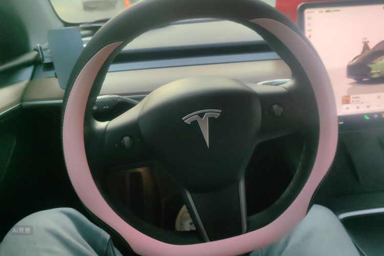 特斯拉 Model Y 2022 汽车图片 #12