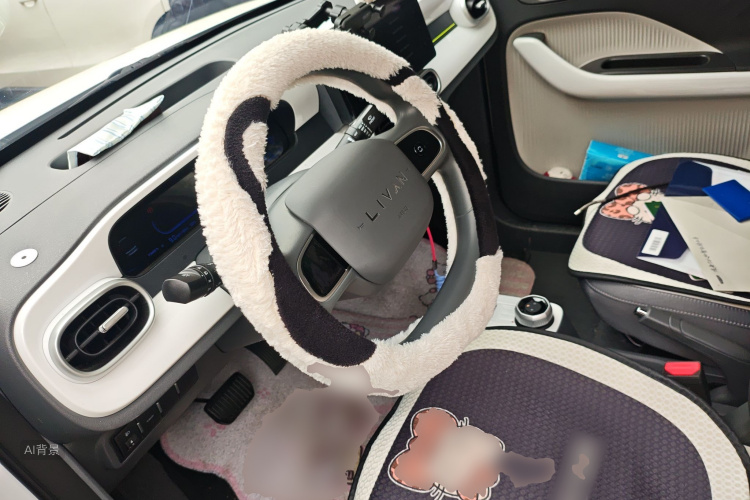 睿蓝汽车 2025 汽车图片 #12