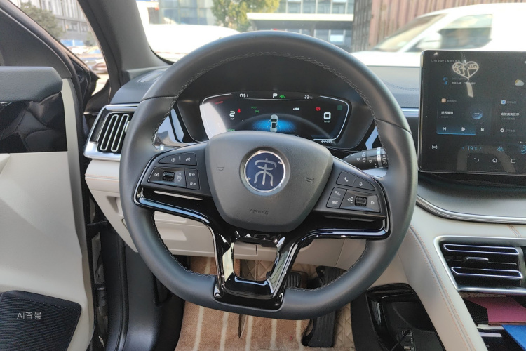 BYD Song Plus New Energy 2022 car image #12