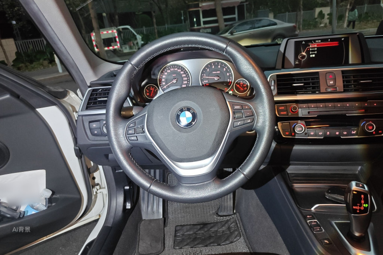 BMW 3 Series 2016 car image #12