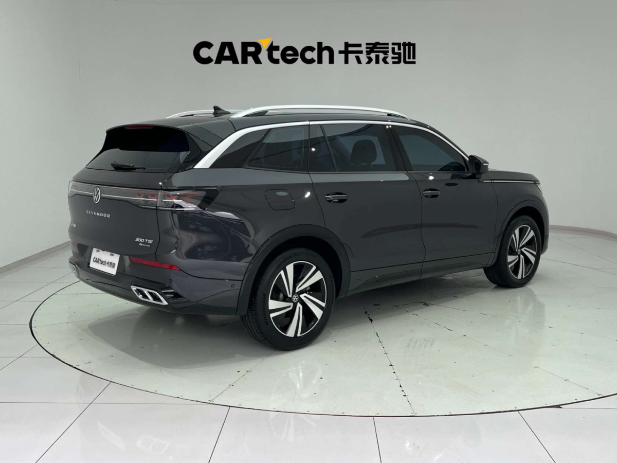 Volkswagen Tavendor 2023 car image #12