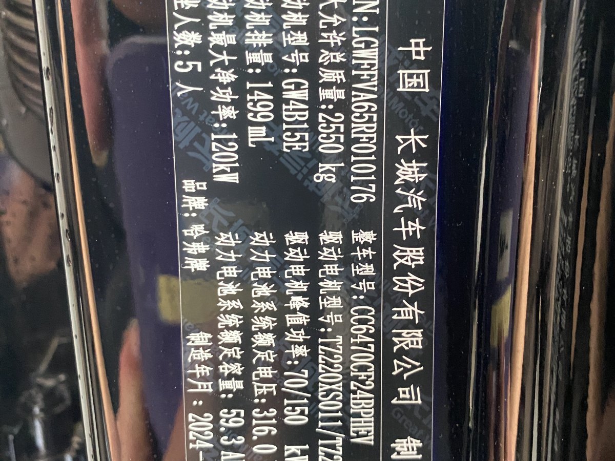 Haval X Dog 2 New Energy 2024 car image #12