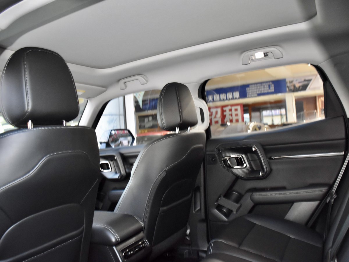 Haval X Dog 2 New Energy 2023 car image #12