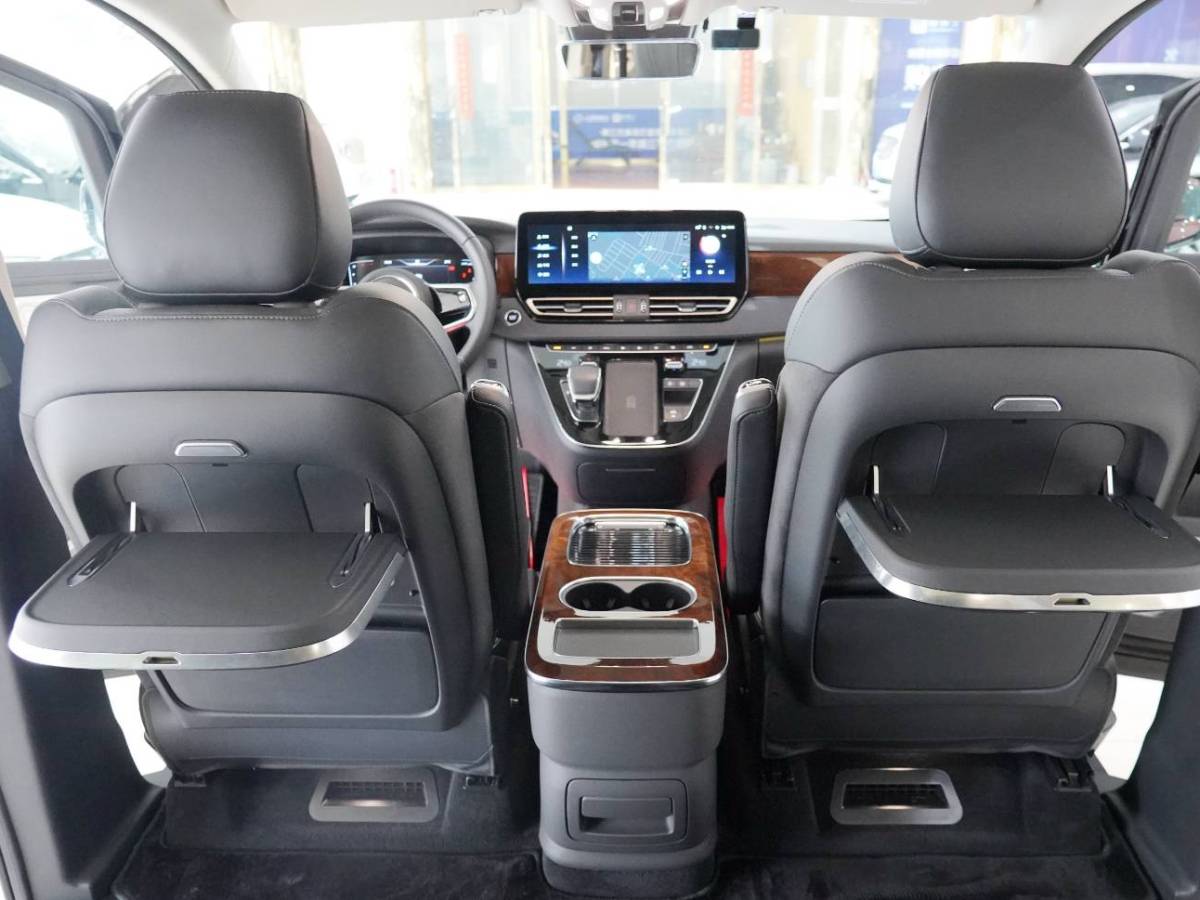 HongQi HQ9 2023 image de voiture #12